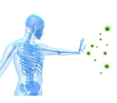 Immune System & Zika