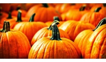 The Great, Healthy Pumpkin