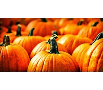 The Great, Healthy Pumpkin